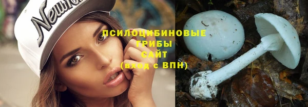 прущий лед Вязники