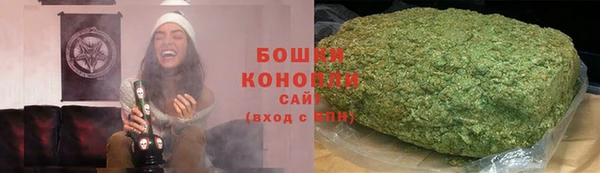 бошки Бородино