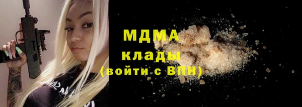 гидра Вязьма