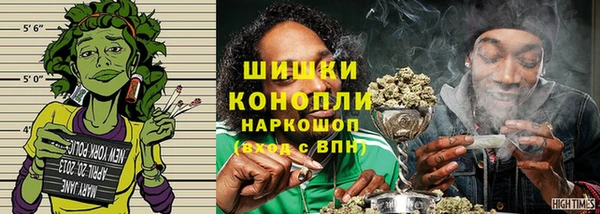 прущие грибы Верхнеуральск