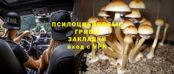 гидра Вязьма