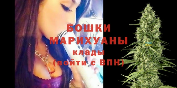 гидра Вязьма