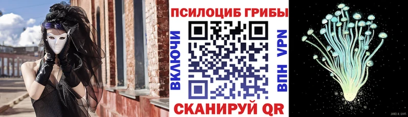 где купить   Зверево  Галлюциногенные грибы GOLDEN TEACHER 